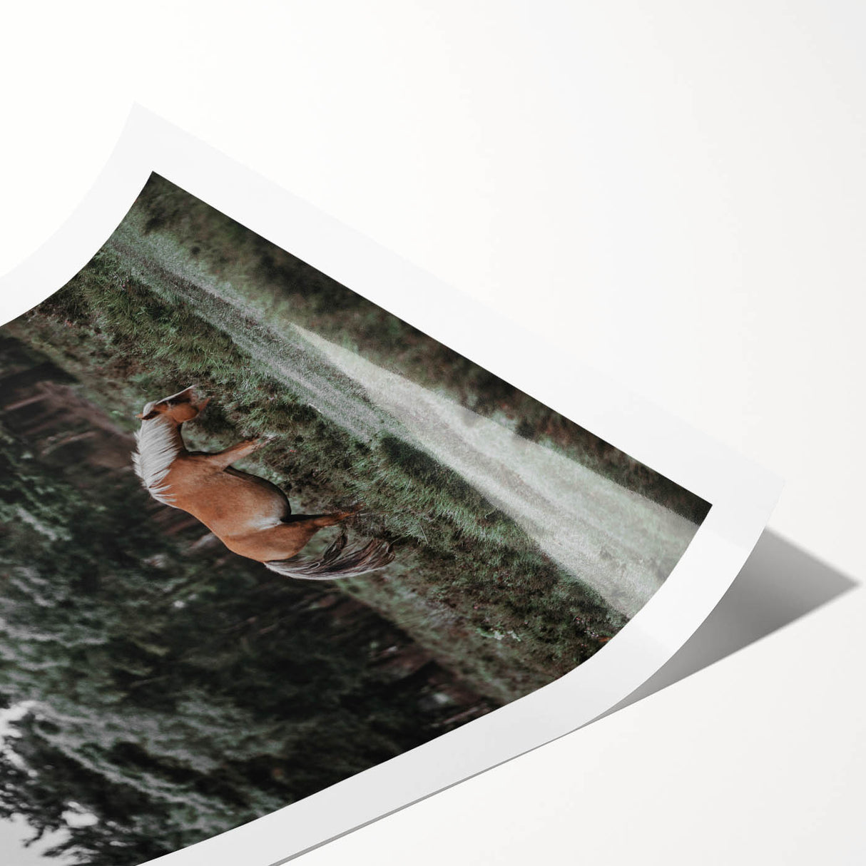 Rustic Horse Grazing Wall Art – Vintage Farmhouse Nature Scene Print