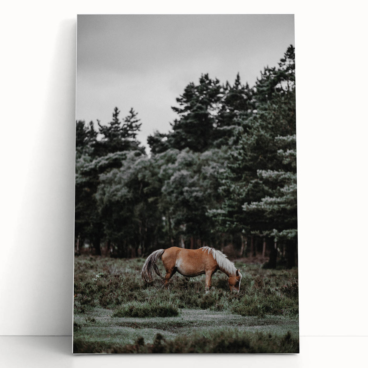 Rustic Horse Grazing Wall Art – Vintage Farmhouse Nature Scene Print