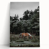Rustic Horse Grazing Wall Art – Vintage Farmhouse Nature Scene Print