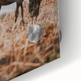 Rustic Horse Grazing in Field Wall Art – Farmhouse Nature Decor Print