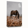 Rustic Horse Grazing in Field Wall Art – Farmhouse Nature Decor Print
