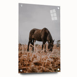 Rustic Horse Grazing in Field Wall Art – Farmhouse Nature Decor Print