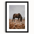Rustic Horse Grazing in Field Wall Art – Farmhouse Nature Decor Print