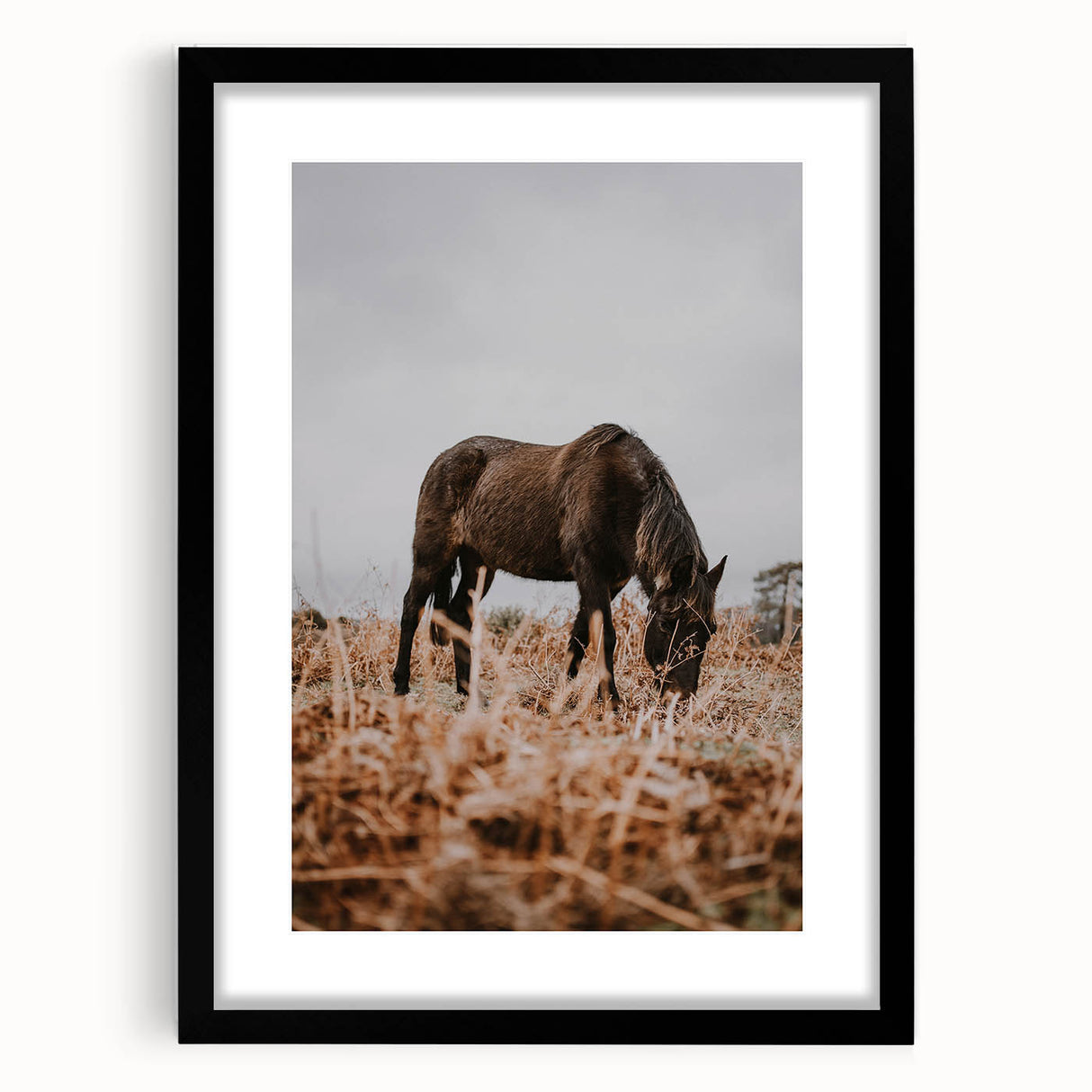 Rustic Horse Grazing in Field Wall Art – Farmhouse Nature Decor Print