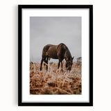 Rustic Horse Grazing in Field Wall Art – Farmhouse Nature Decor Print
