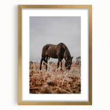 Rustic Horse Grazing in Field Wall Art – Farmhouse Nature Decor Print