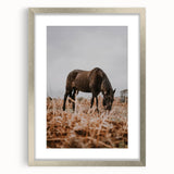 Rustic Horse Grazing in Field Wall Art – Farmhouse Nature Decor Print