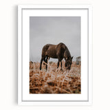 Rustic Horse Grazing in Field Wall Art – Farmhouse Nature Decor Print