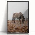 Rustic Horse Grazing in Field Wall Art – Farmhouse Nature Decor Print