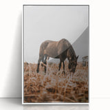 Rustic Horse Grazing in Field Wall Art – Farmhouse Nature Decor Print