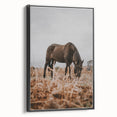 Rustic Horse Grazing in Field Wall Art – Farmhouse Nature Decor Print