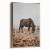 Rustic Horse Grazing in Field Wall Art – Farmhouse Nature Decor Print