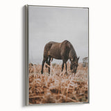 Rustic Horse Grazing in Field Wall Art – Farmhouse Nature Decor Print
