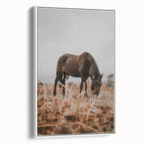 Rustic Horse Grazing in Field Wall Art – Farmhouse Nature Decor Print
