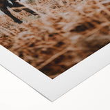 Rustic Horse Grazing in Field Wall Art – Farmhouse Nature Decor Print