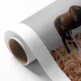 Rustic Horse Grazing in Field Wall Art – Farmhouse Nature Decor Print