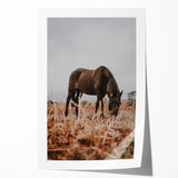 Rustic Horse Grazing in Field Wall Art – Farmhouse Nature Decor Print