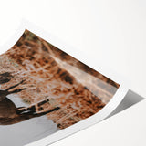 Rustic Horse Grazing in Field Wall Art – Farmhouse Nature Decor Print