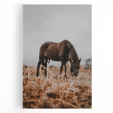 Rustic Horse Grazing in Field Wall Art – Farmhouse Nature Decor Print