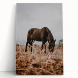Rustic Horse Grazing in Field Wall Art – Farmhouse Nature Decor Print