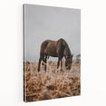 Rustic Horse Grazing in Field Wall Art – Farmhouse Nature Decor Print