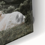 Rustic Cow in Field Wall Art – Farmhouse Animal Nature Scene Decor Print