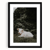 Rustic Cow in Field Wall Art – Farmhouse Animal Nature Scene Decor Print