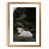 Rustic Cow in Field Wall Art – Farmhouse Animal Nature Scene Decor Print