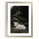 Rustic Cow in Field Wall Art – Farmhouse Animal Nature Scene Decor Print