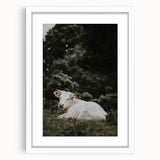 Rustic Cow in Field Wall Art – Farmhouse Animal Nature Scene Decor Print