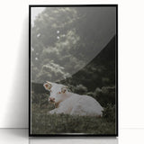 Rustic Cow in Field Wall Art – Farmhouse Animal Nature Scene Decor Print