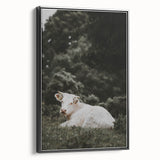 Rustic Cow in Field Wall Art – Farmhouse Animal Nature Scene Decor Print