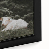 Rustic Cow in Field Wall Art – Farmhouse Animal Nature Scene Decor Print