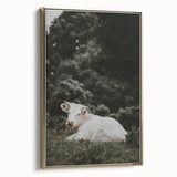 Rustic Cow in Field Wall Art – Farmhouse Animal Nature Scene Decor Print