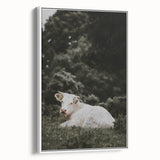 Rustic Cow in Field Wall Art – Farmhouse Animal Nature Scene Decor Print