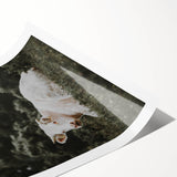 Rustic Cow in Field Wall Art – Farmhouse Animal Nature Scene Decor Print