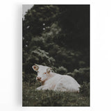 Rustic Cow in Field Wall Art – Farmhouse Animal Nature Scene Decor Print