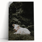 Rustic Cow in Field Wall Art – Farmhouse Animal Nature Scene Decor Print