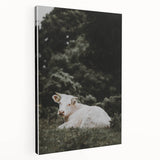 Rustic Cow in Field Wall Art – Farmhouse Animal Nature Scene Decor Print