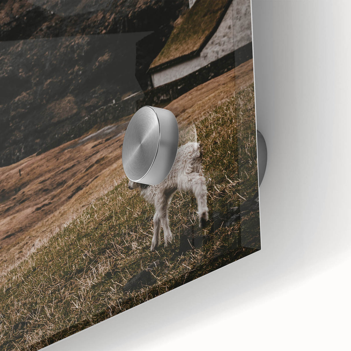 Rustic Lamb in Landscape Wall Art – Farmhouse Nature Scene Decor Print