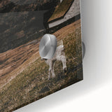 Rustic Lamb in Landscape Wall Art – Farmhouse Nature Scene Decor Print