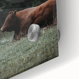 Rustic Cow in Meadow Wall Art – Farmhouse Animal Nature Decor Print