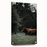 Rustic Cow in Meadow Wall Art – Farmhouse Animal Nature Decor Print