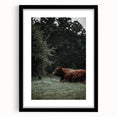 Rustic Cow in Meadow Wall Art – Farmhouse Animal Nature Decor Print