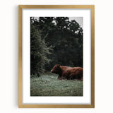 Rustic Cow in Meadow Wall Art – Farmhouse Animal Nature Decor Print