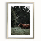 Rustic Cow in Meadow Wall Art – Farmhouse Animal Nature Decor Print