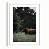 Rustic Cow in Meadow Wall Art – Farmhouse Animal Nature Decor Print