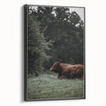Rustic Cow in Meadow Wall Art – Farmhouse Animal Nature Decor Print