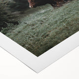 Rustic Cow in Meadow Wall Art – Farmhouse Animal Nature Decor Print