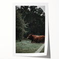 Rustic Cow in Meadow Wall Art – Farmhouse Animal Nature Decor Print